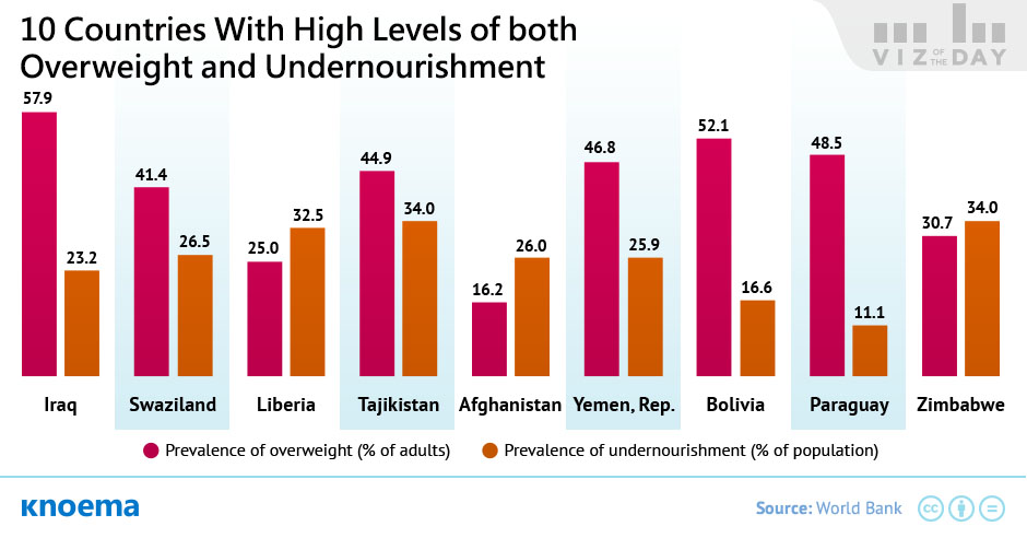 Beyond Stereotypes Obesity in a World of Hunger