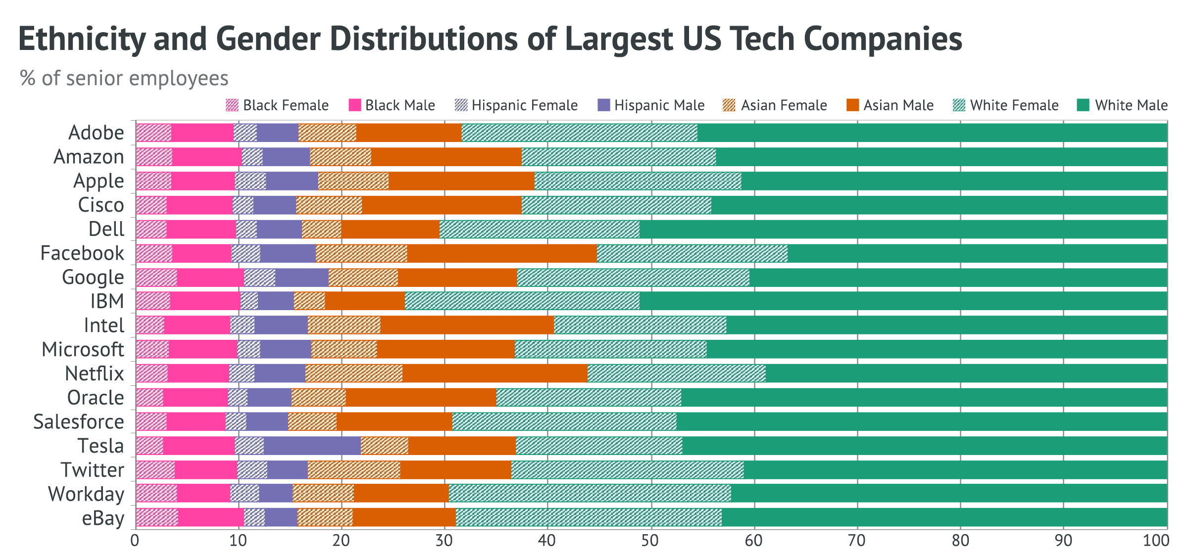 Ethnicity and Gender Distributions of Largest US Tech Companies