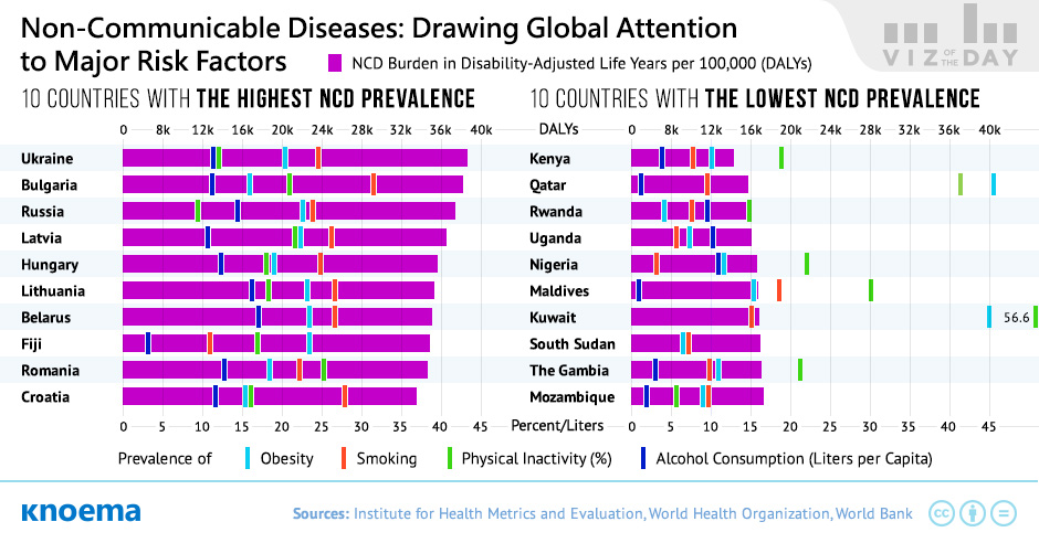 Non-Communicable Disease and Its Common Risk Factors