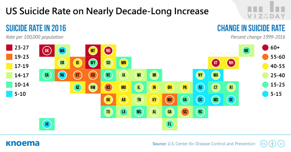 Suicide Rate in the US States 1999 to 2016