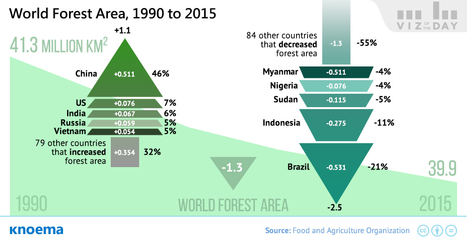 World’s Forests Change Over the Last Twenty-Five Years